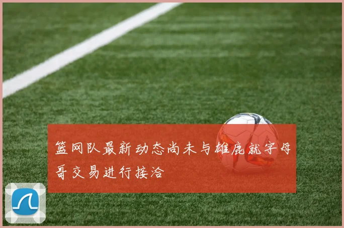 篮网队最新动态尚未与雄鹿就字母哥交易进行接洽