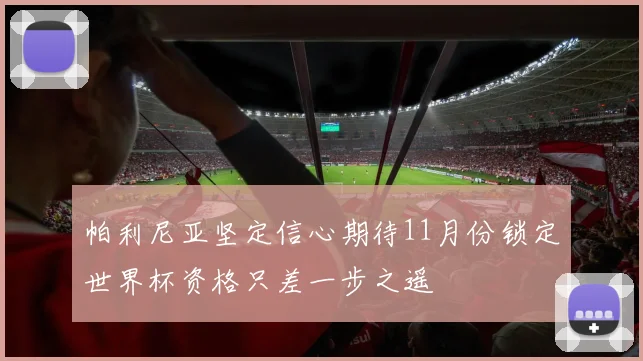 帕利尼亚坚定信心期待11月份锁定世界杯资格只差一步之遥